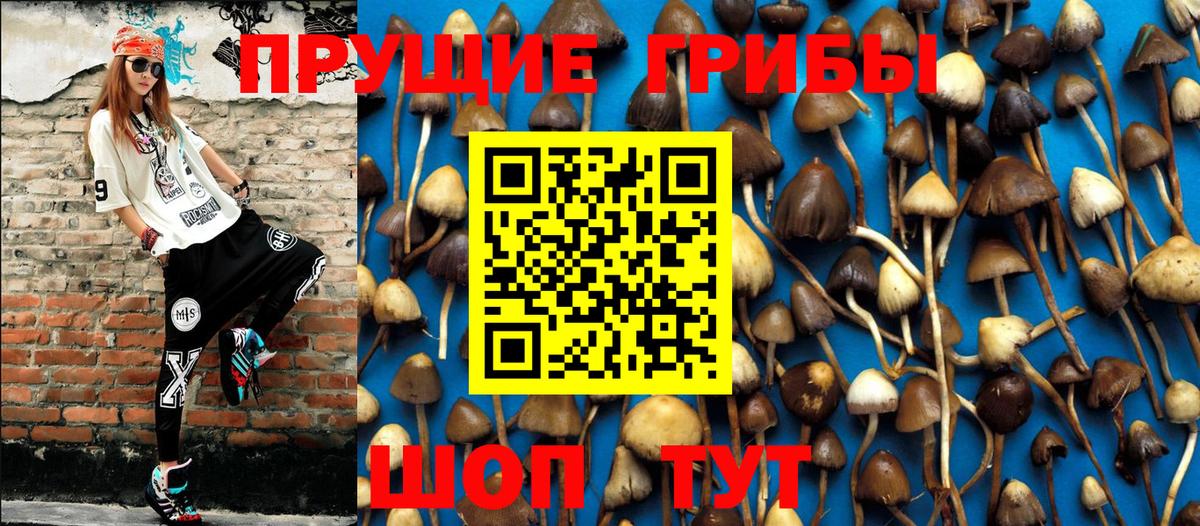 Псков  Галлюциногенные грибы MAGIC MUSHROOMS  Вход с VPN 